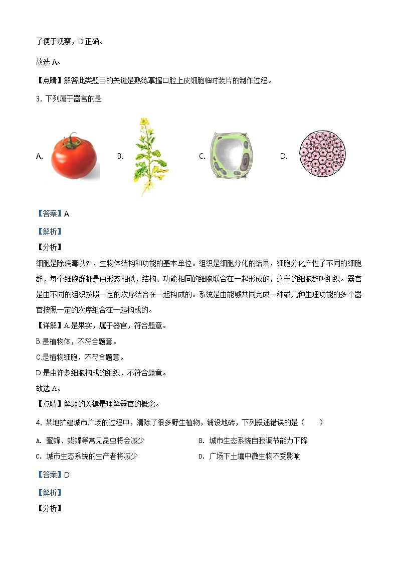 广东省2020年中考生物试题（解析版）第2页