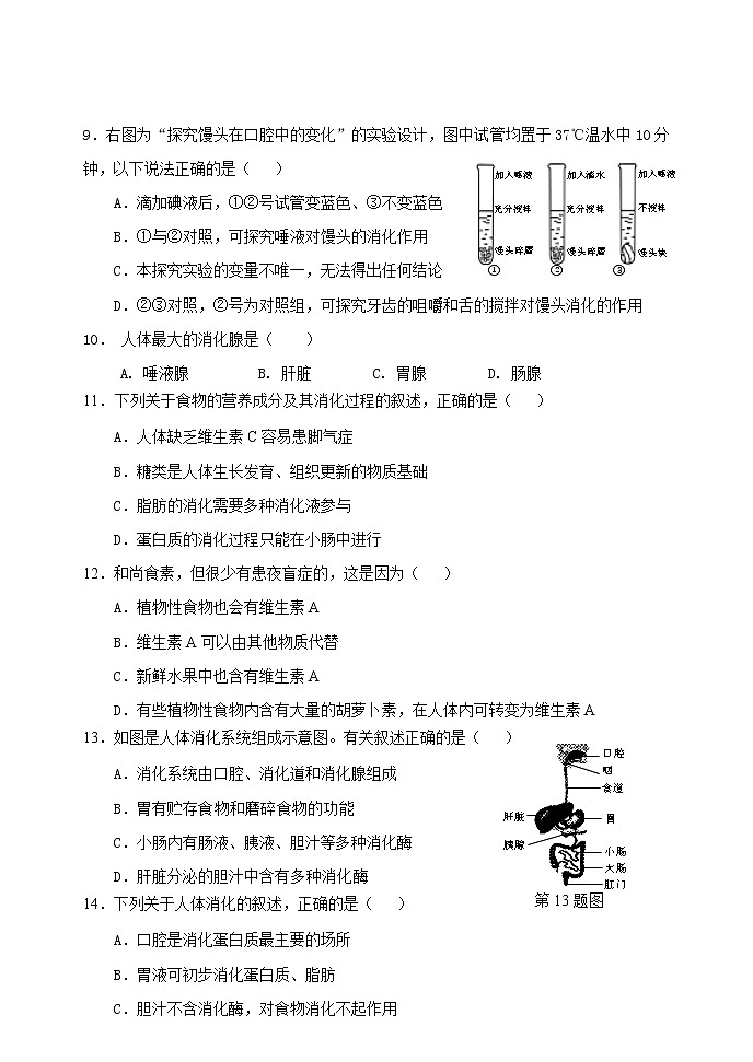 河北省黄骅市2020-2021学年七年级下学期期中考试生物试题（word版 含答案）02