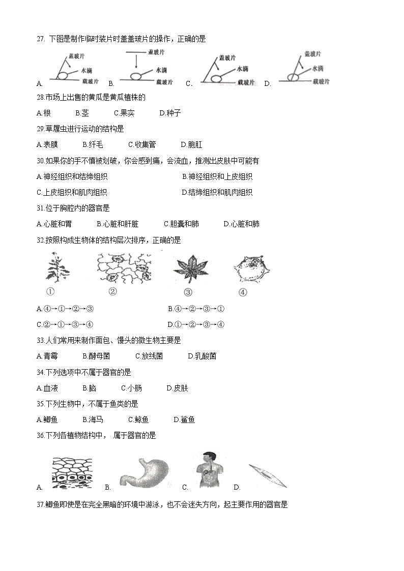 江苏省宿迁市沭阳县2020-2021学年七年级下学期期中生物试题（word版 含答案）02