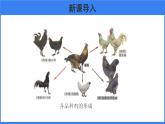 第三章 第三节 生物进化的原因 课件