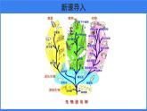 第三章 第三节 生物进化的原因 课件