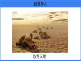 第三章 第三节 生物进化的原因 课件