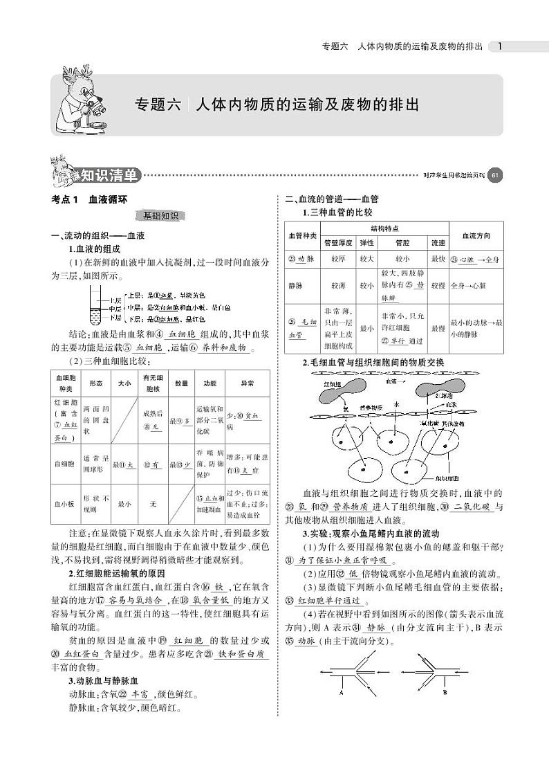专题六 人体内物质的运输及废物的排出01