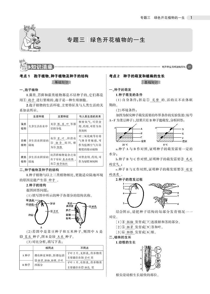 专题三 绿色开花植物的一生01