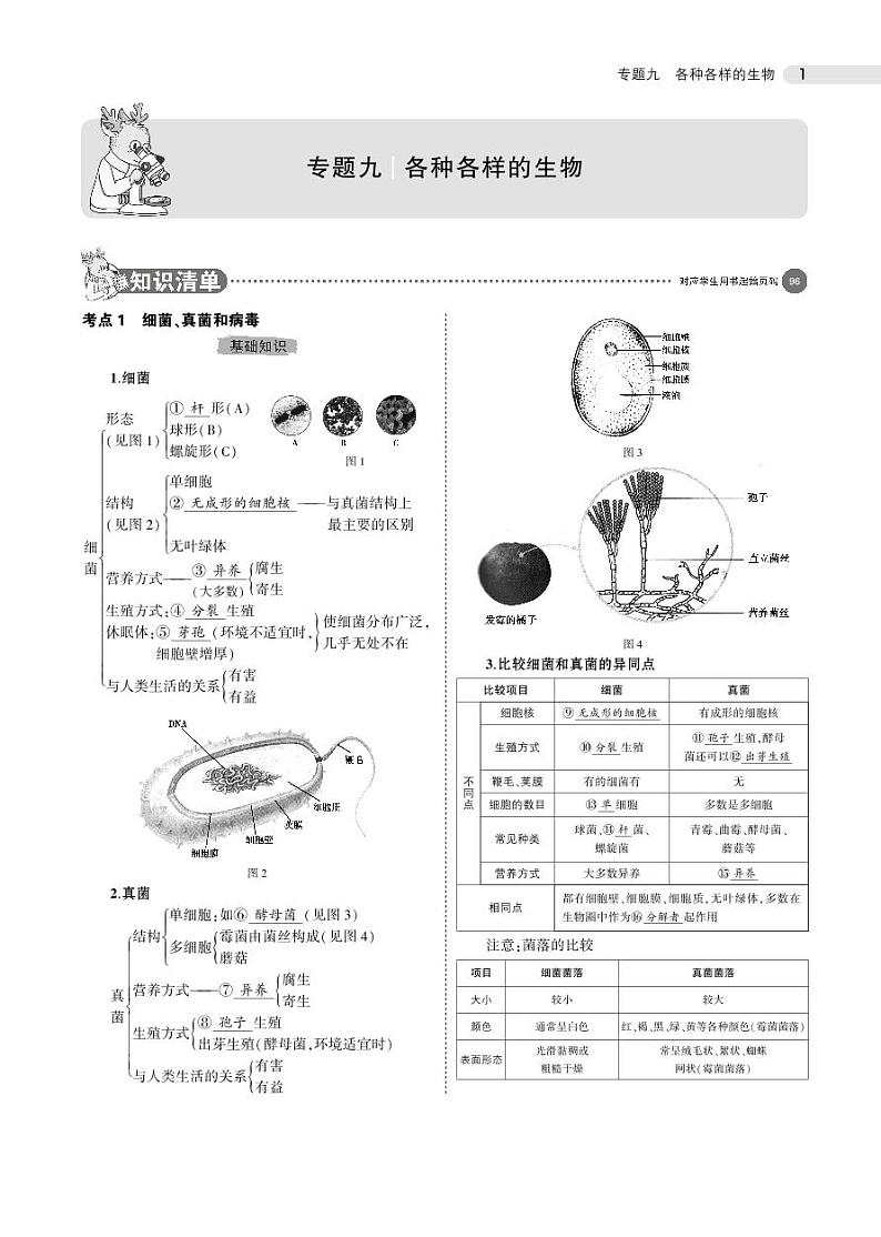 专题九 各种各样的生物01