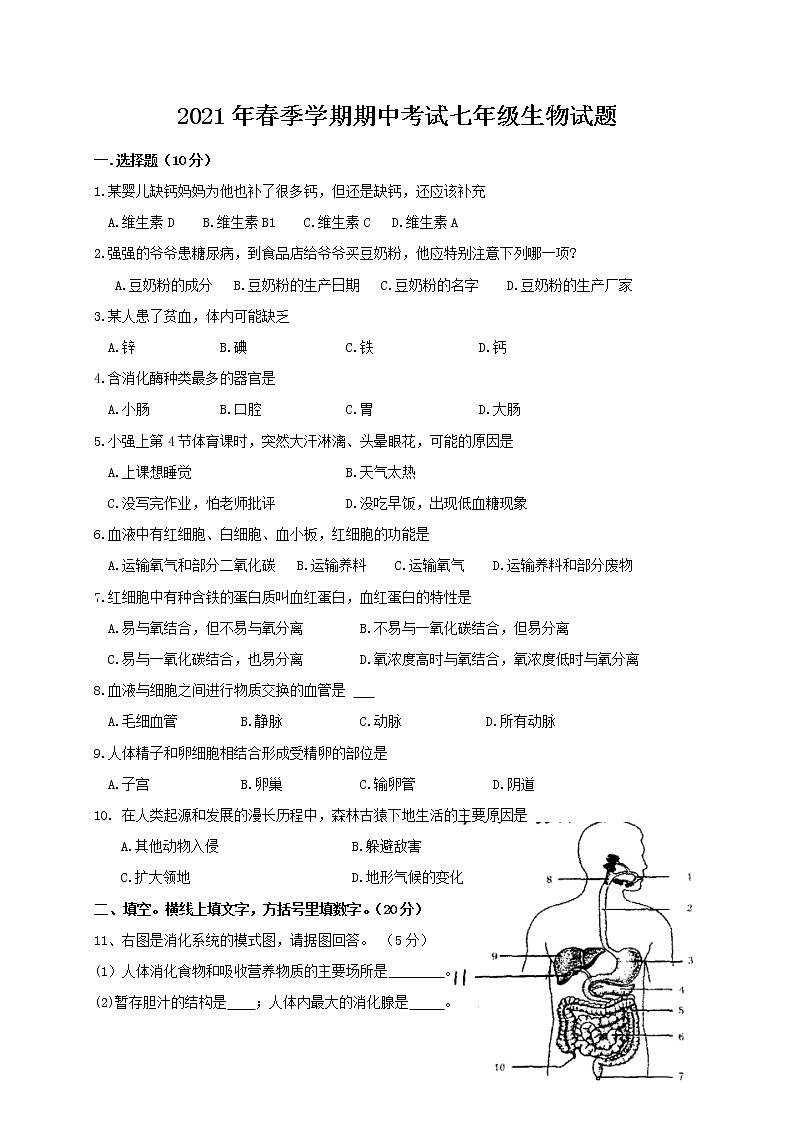 湖北省麻城市2020-2021学年七年级下学期期中联考生物试题（word版 含答案） (2)01