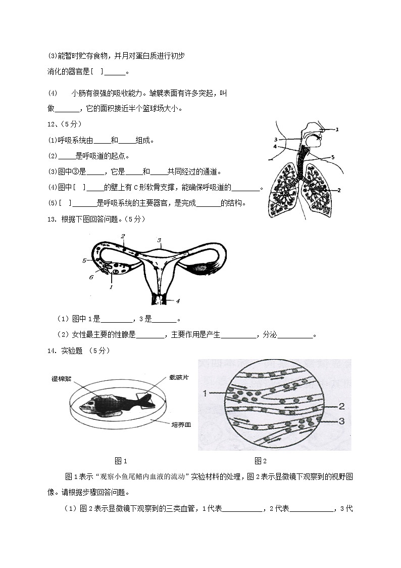 湖北省麻城市2020-2021学年七年级下学期期中联考生物试题（word版 含答案） (2)02