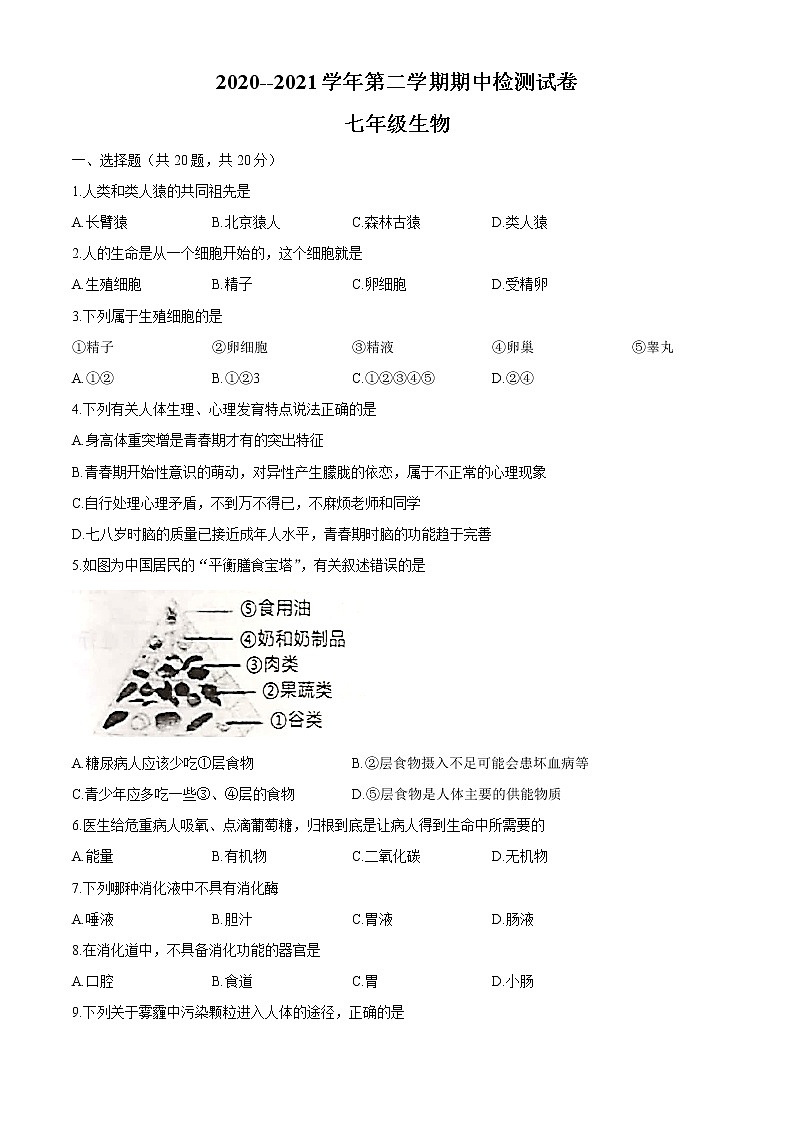 河南省周口市郸城县2020-2021学年七年级下学期期中生物试题（word版 含答案）01