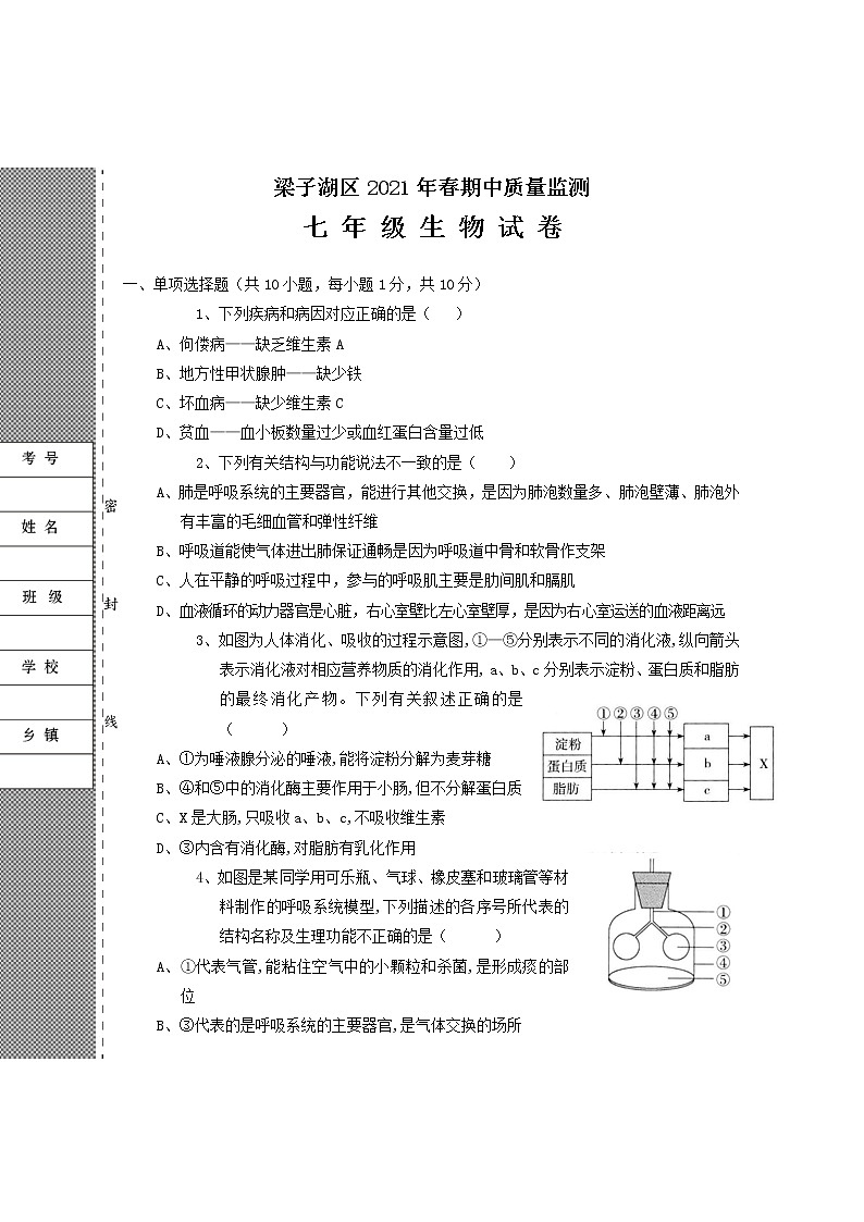 湖北省梁子湖区2020-2021学年七年级下学期期中质量监测生物试题（word版 含答案）01