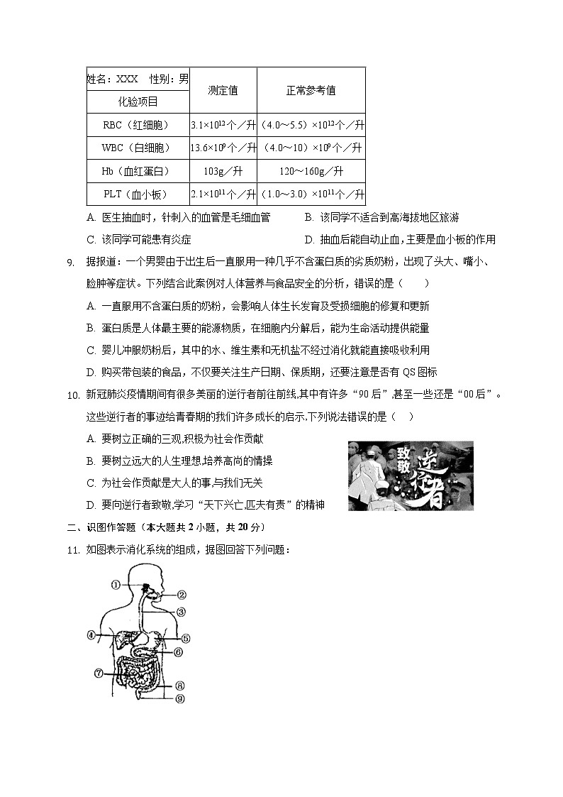 湖北省麻城市2020-2021学年七年级下学期期中联考生物试题（word版 含答案）02