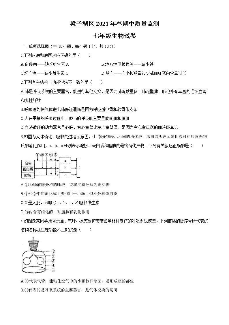 湖北省鄂州市梁子湖区2020-2021学年七年级下学期期中生物试题（word版 含答案）01