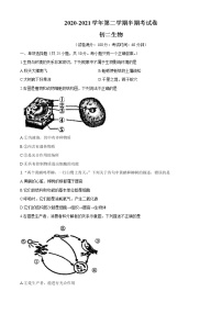 福建省厦门市2020-2021学年八年级下学期期中生物试题