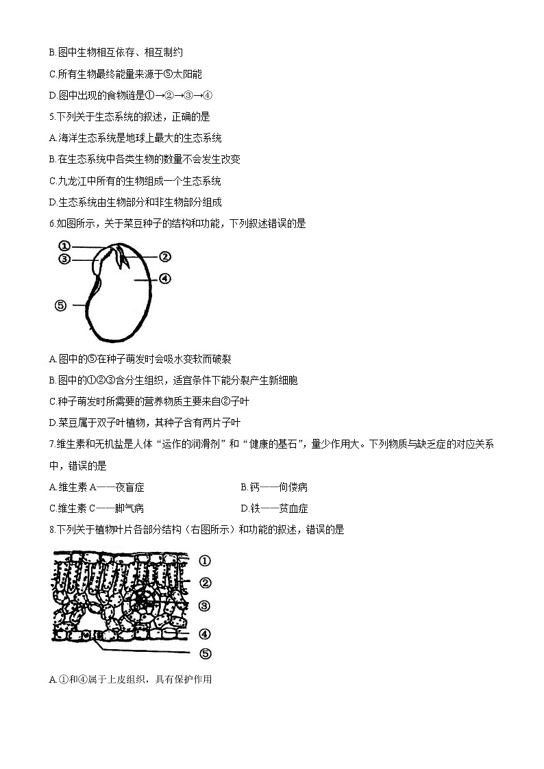 福建省厦门市2020-2021学年八年级下学期期中生物试题02
