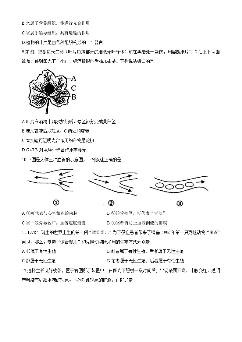 福建省厦门市2020-2021学年八年级下学期期中生物试题03