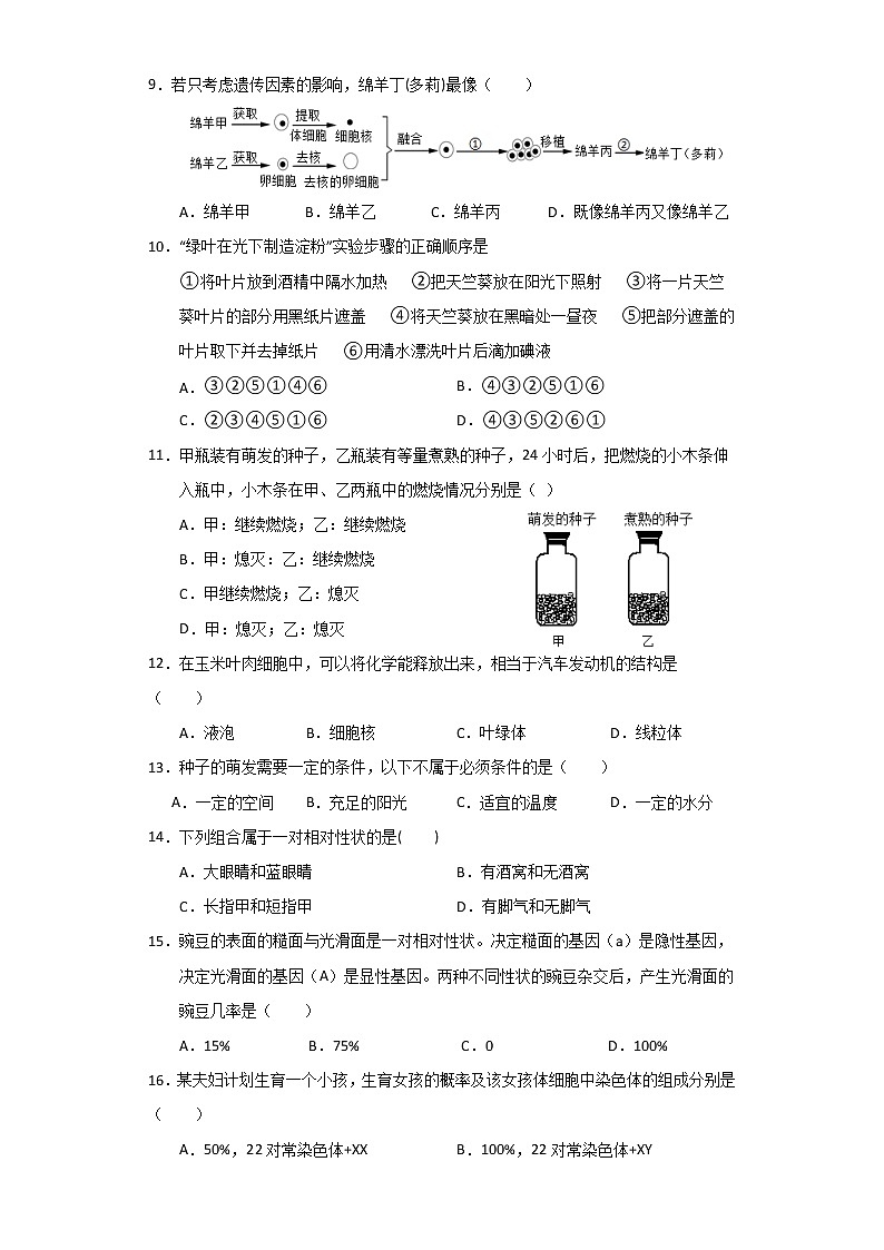 重庆市綦江区2020-2021学年八年级下学期期中考试生物试题（word版 含答案）02