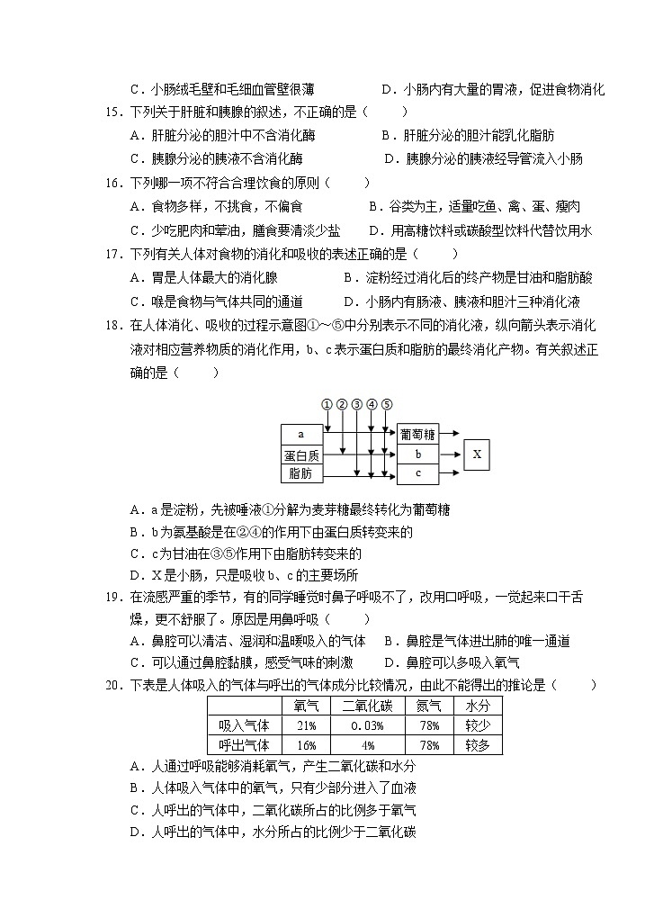 安徽省芜湖市市区2020-2021学年七年级下学期期中考试生物试题（word版 含答案）03