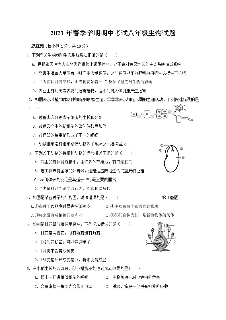 湖北省麻城市2020-2021学年八年级下学期期中联考生物试题（word版 含答案）01