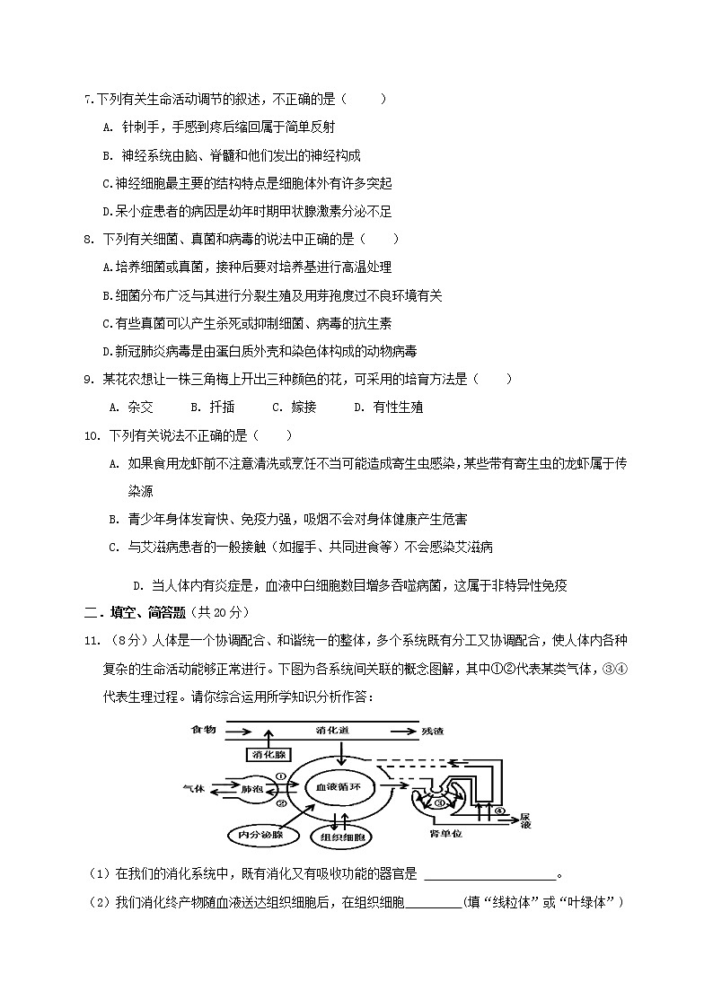 湖北省麻城市2020-2021学年八年级下学期期中联考生物试题（word版 含答案）02