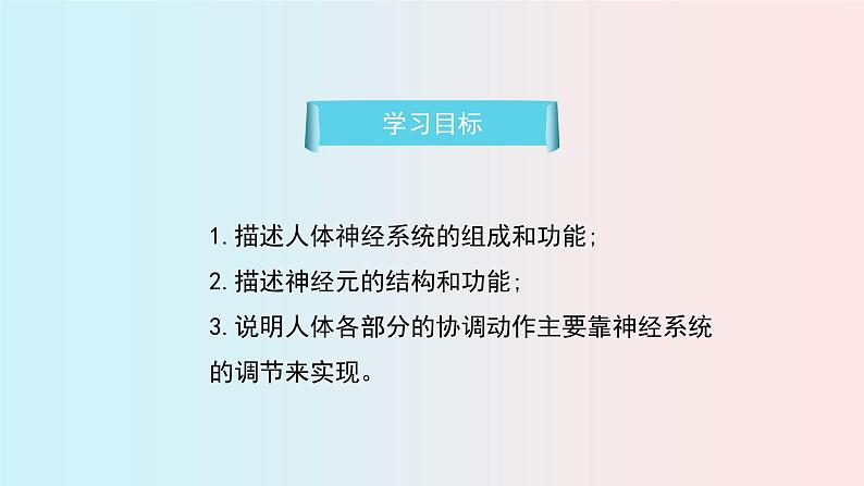 人教版七年级生物下册6.2《  神经系统的组成》PPT课件03