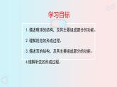 人教版七年级生物下册6.1《 人体对外界环境的感知》PPT课件