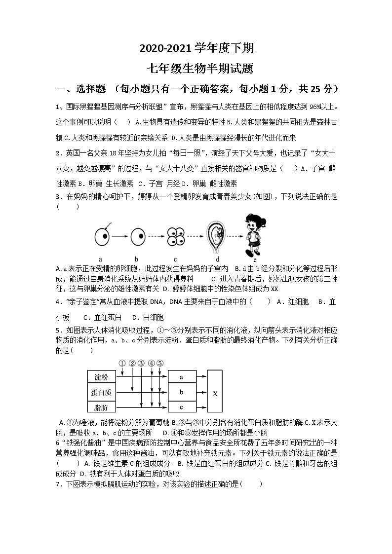 重庆市璧山区2020-2021学年七年级下学期期中考试生物试题（word版 含答案）01
