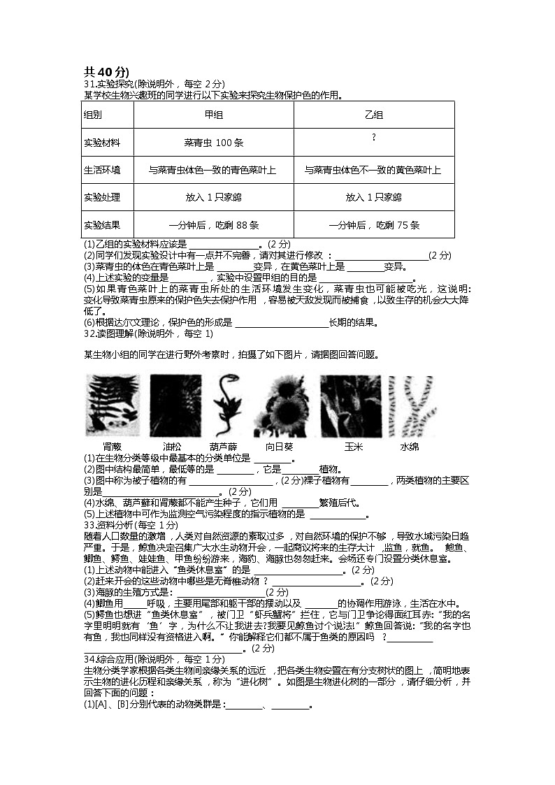 广东省普宁市2020-2021学年下学期期中学生素质监测八年级生物试题卷及参考答案（解析版）03