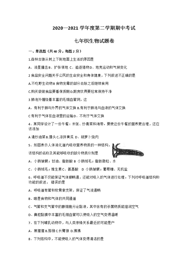 安徽省六安市2020-2021学年下学期期中考试七年级生物试题（Word版无答案）01