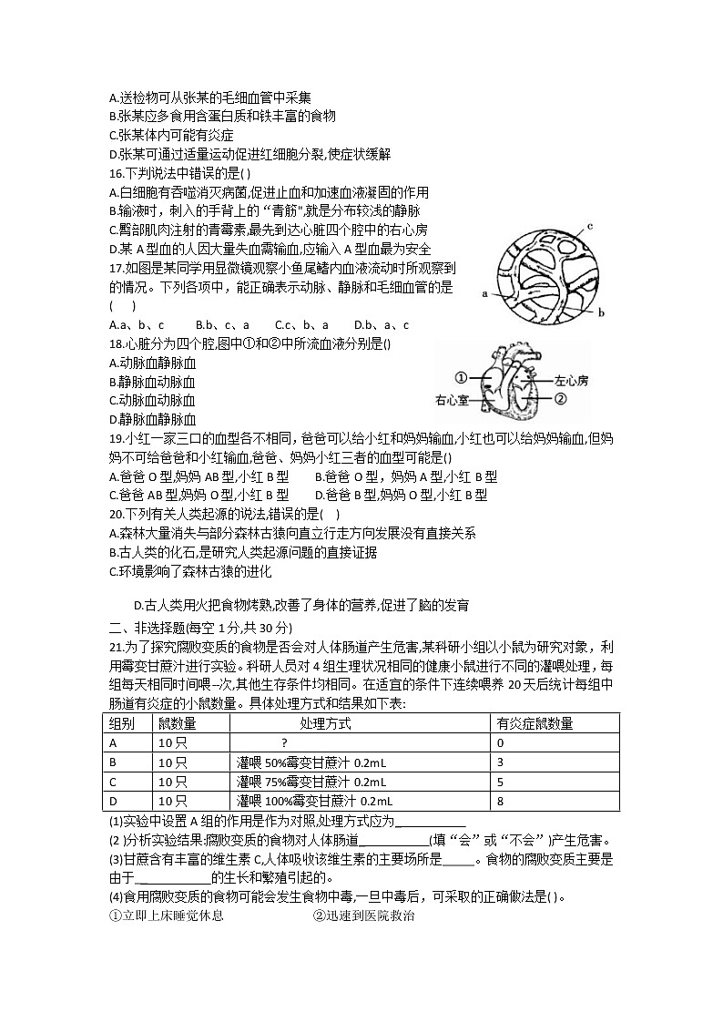 河南省许昌长葛市2020-2021学年七年级下学期期中考试生物试题（word版有答案）03