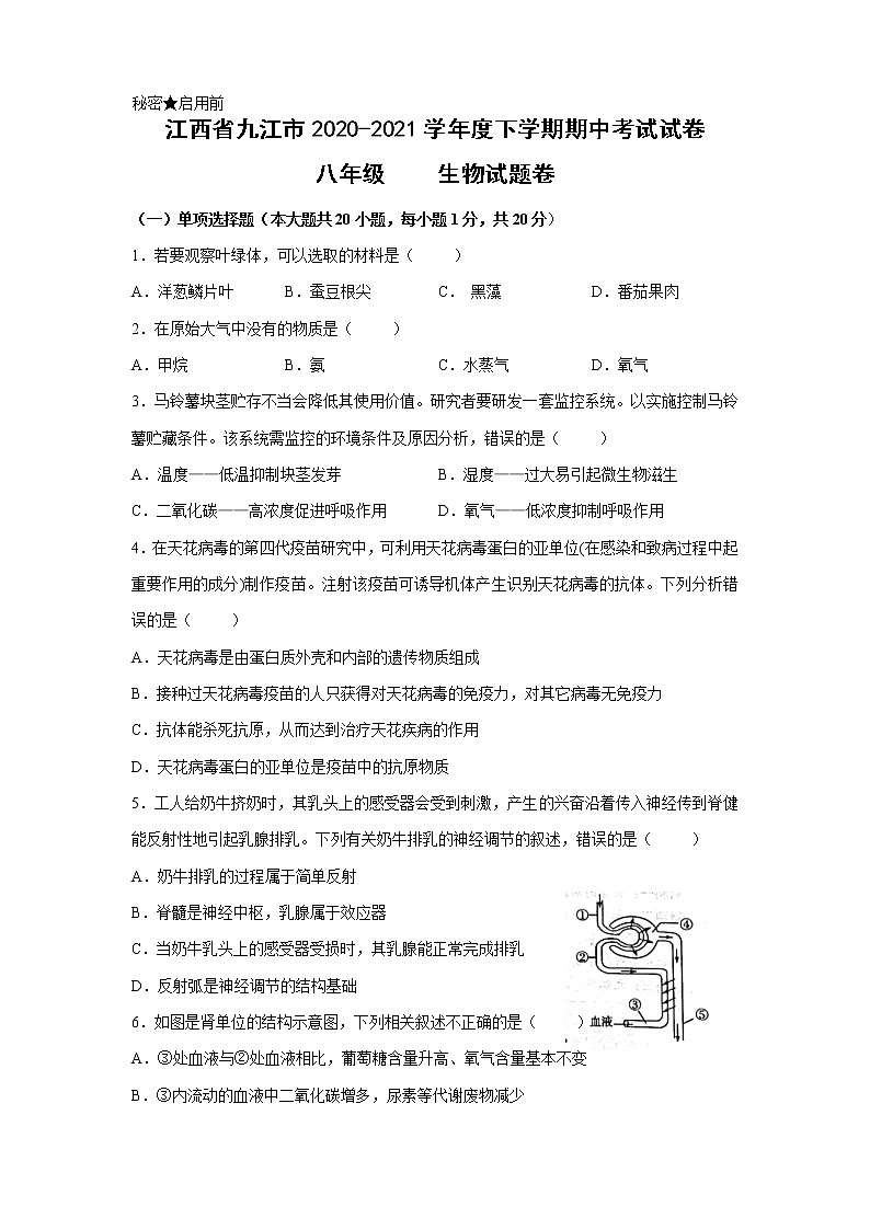 江西省九江市2020-2021学年下学期八年级期中考试生物试卷（word版有答案）01