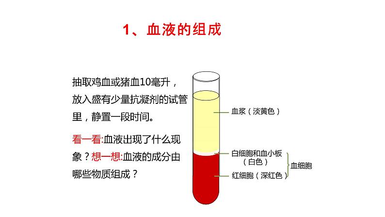 人教版七年级生物下册4.1《流动的组织—血液》PPT课件04