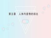 人教版七年级生物下册《第五章  人体内废物的排出》PPT课件