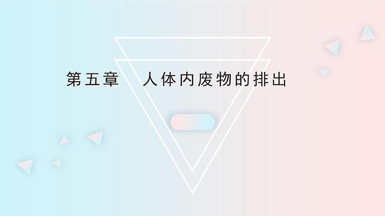 人教版七年级生物下册《第五章  人体内废物的排出》PPT课件02