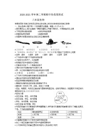 河南省洛阳市洛龙区2020-2021学年八年级下学期期中考试生物试题（word版 含答案）