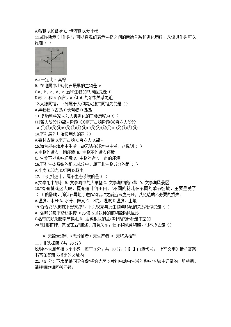 山东省菏泽市成武县2020-2021学年下学期八年级期中生物学业质量测评试题（word版 含答案）02