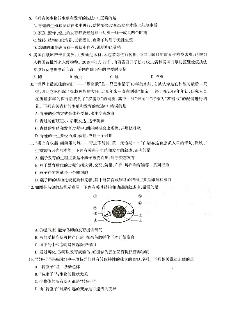 河南省洛阳市2020-2021学年下学期八年级生物期中检测卷（word版 含答案）03