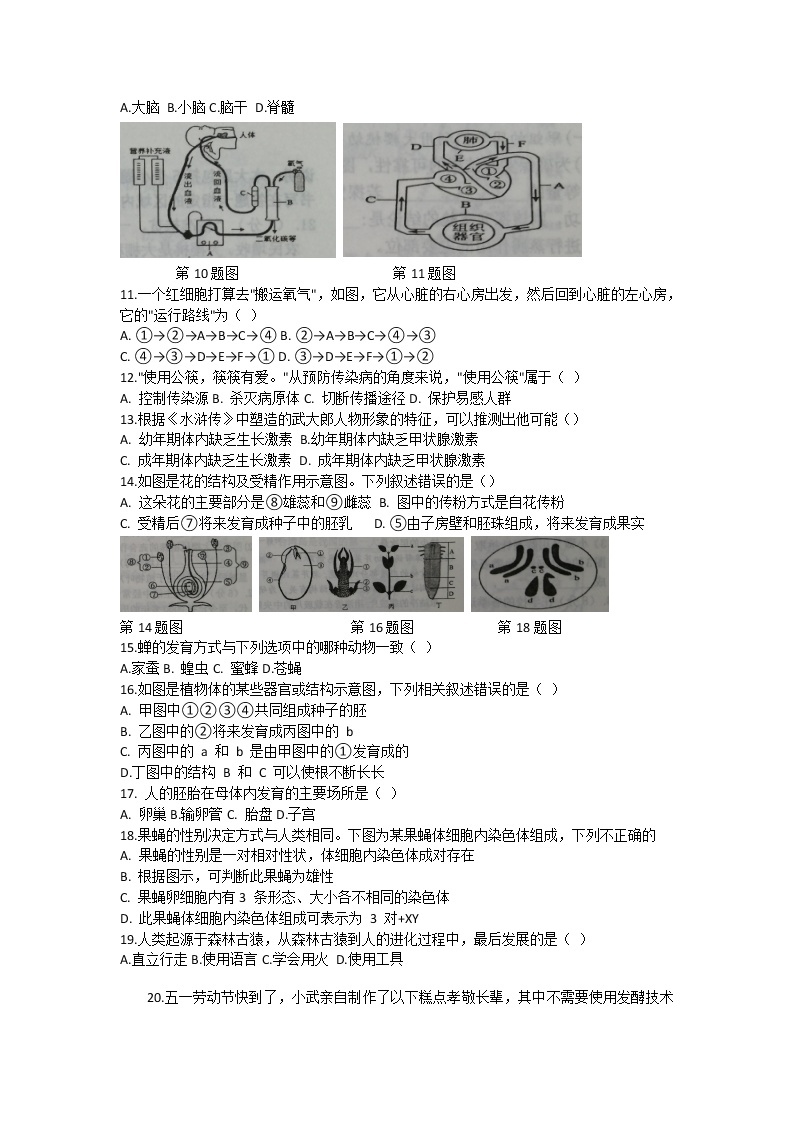 山东省菏泽市成武县2020-2021学年下学期九年级期中生物学业质量测评试题（word版 含答案）02