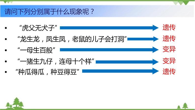 7.2.1 基因控制生物的性状（同步课件）-2020-2021学年八年级下册生物（人教版）08