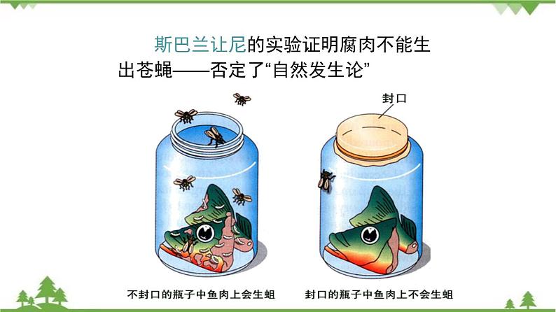 7.3.1 地球上生命的起源（同步课件）-2020-2021学年八年级下册生物（人教版）08