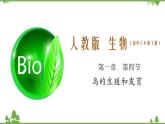 7.1.4 鸟的生殖和发育（同步课件）-2020-2021学年八年级下册生物（人教版）