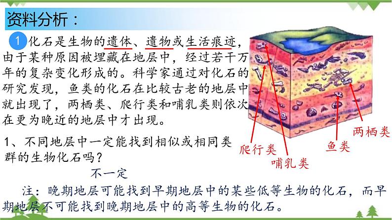 7.3.2 生物进化的历程（同步课件）-2020-2021学年八年级下册生物（人教版）06