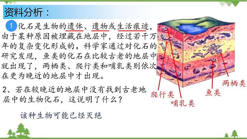 7.3.2 生物进化的历程（同步课件）-2020-2021学年八年级下册生物（人教版）07