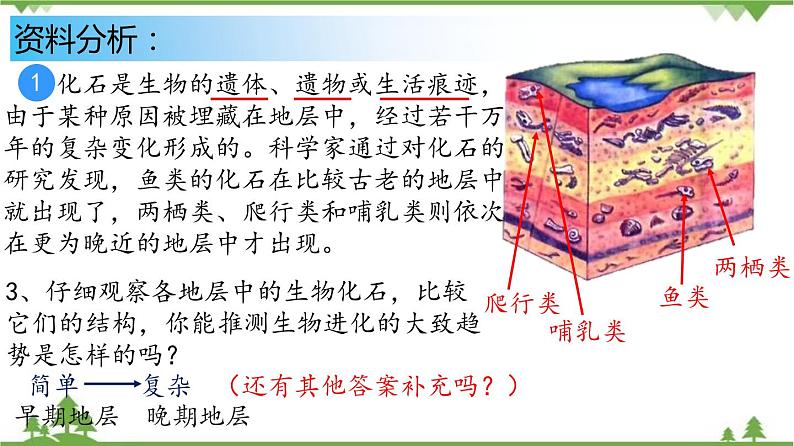 7.3.2 生物进化的历程（同步课件）-2020-2021学年八年级下册生物（人教版）08