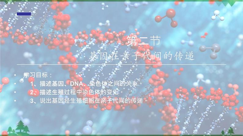 7.2.2 基因在亲子代间的传递（同步课件）-2020-2021学年八年级下册生物（人教版）第2页