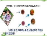 7.2.4 人的性别遗传（同步课件）-2020-2021学年八年级下册生物（人教版）