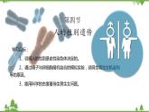 7.2.4 人的性别遗传（同步课件）-2020-2021学年八年级下册生物（人教版）