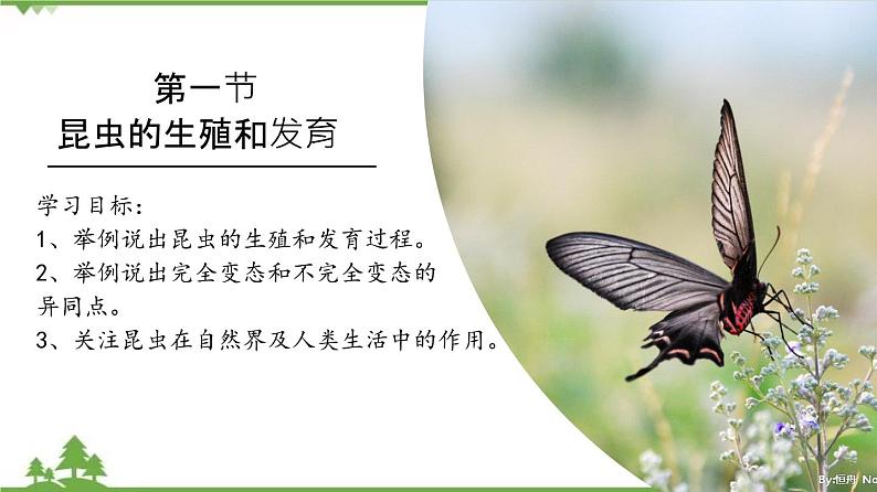 7.1.2 昆虫的生殖和发育（同步课件）-2020-2021学年八年级下册生物（人教版）02