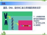 7.2.3 基因的显性和隐性（同步课件）-2020-2021学年八年级下册生物（人教版）