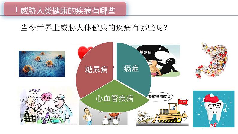 （北师大七下）13.4 当代主要疾病和预防 课件03