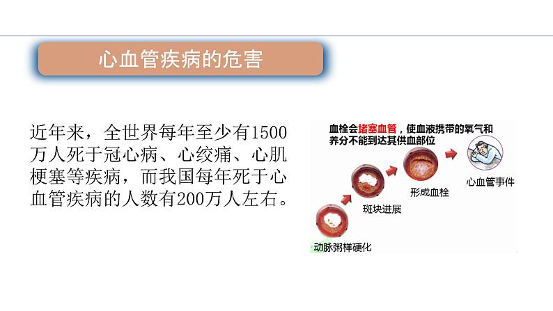 （北师大七下）13.4 当代主要疾病和预防 课件06