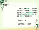 （人教七下）4.6.2 神经系统的组成 课件